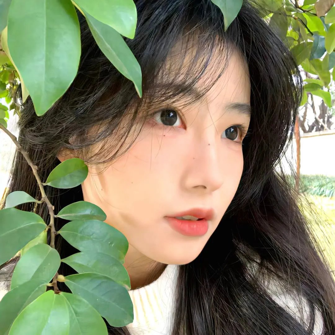 大鸟和小鸟
